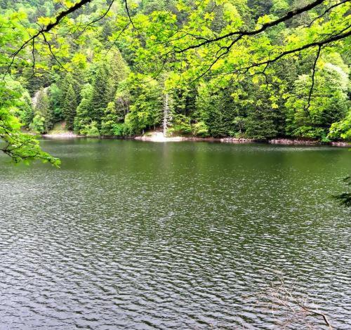Lac d'Altenweiher