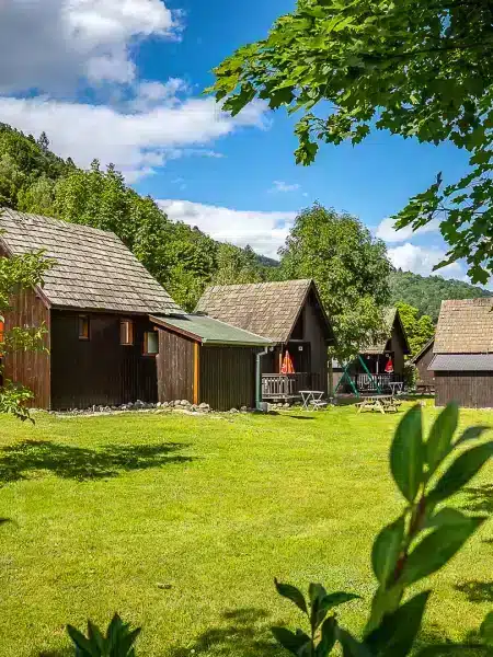 ambiance automnale vallée de Munster feuillage doré, verdoyant en été