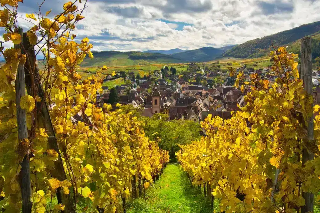 location chalet Colmar