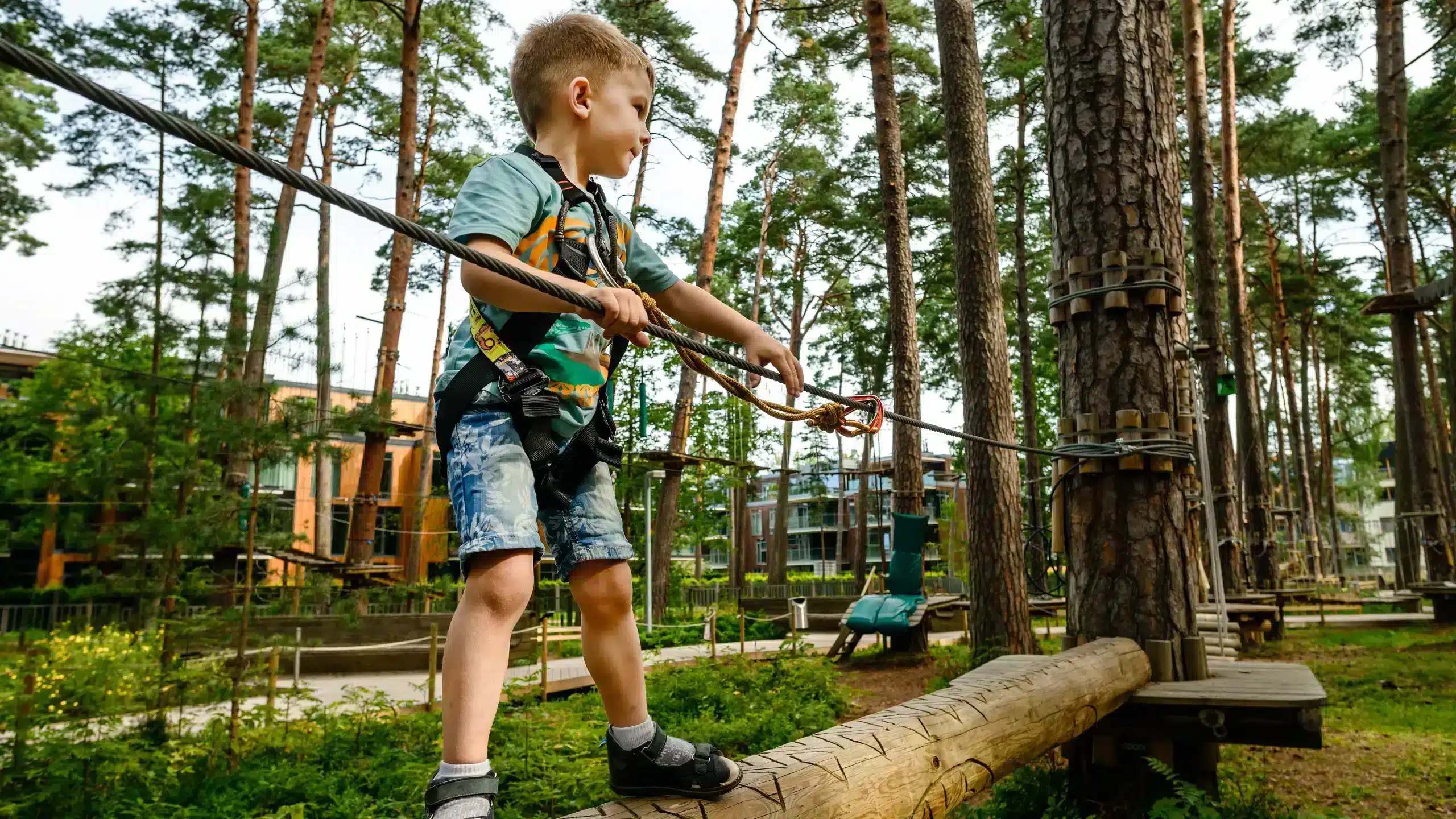 accrobranche wormsa camping alsace 02