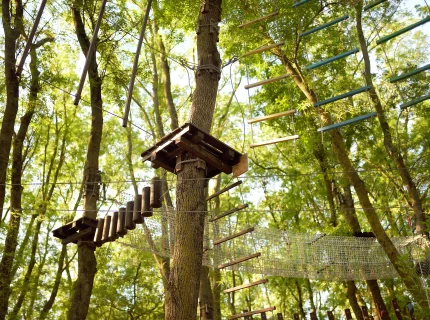 accrobranche wormsa camping alsace 03