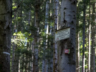 accrobranche wormsa camping alsace 04