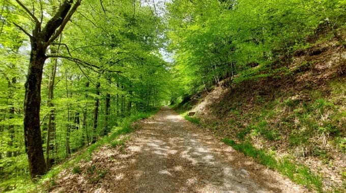 Activités dans la vallée de la Wormsa