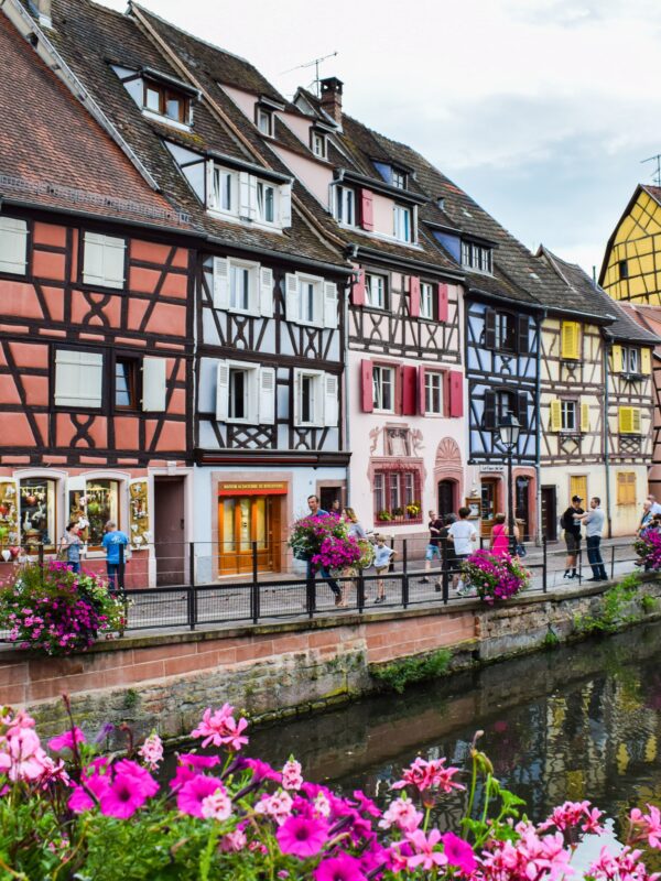 location chalet Colmar