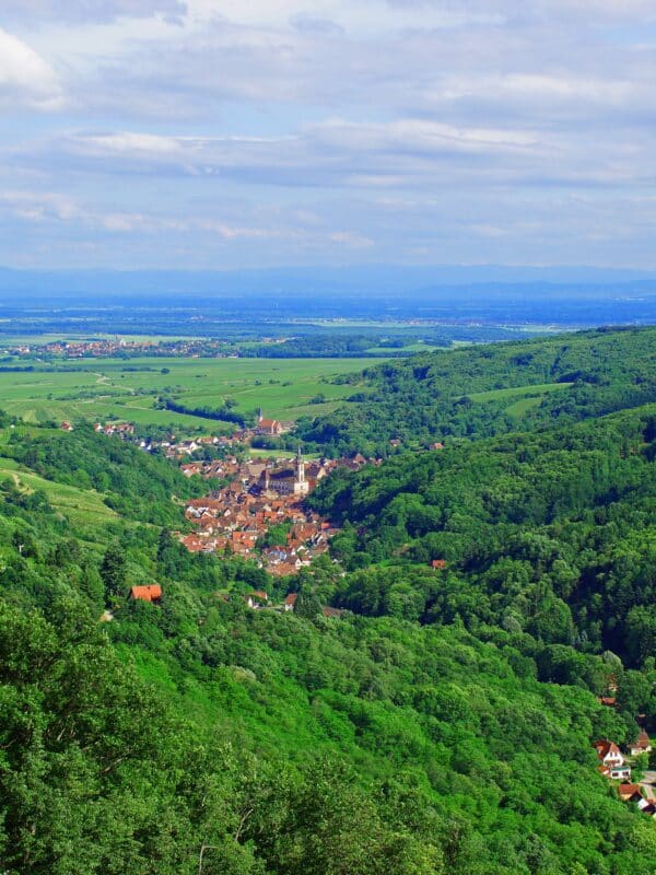 Forêt du Bas-Rhin et vallée verdoyante, camping en Alsace au cœur des Vosges