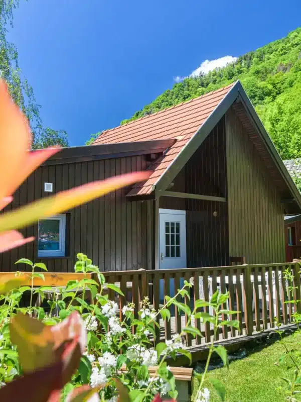 chalet pour groupe en pleine nature vosgienne