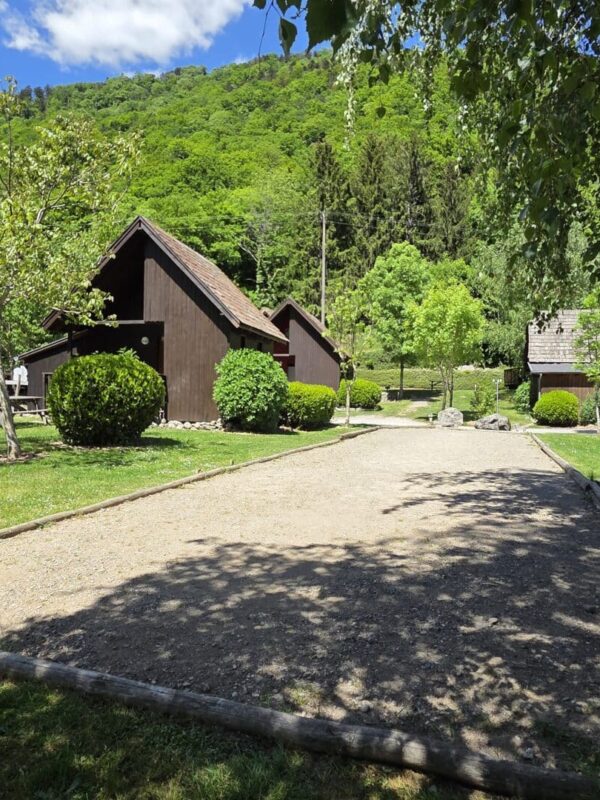 Vacances vertes dans un chalet à proximité de Gérardmer 
