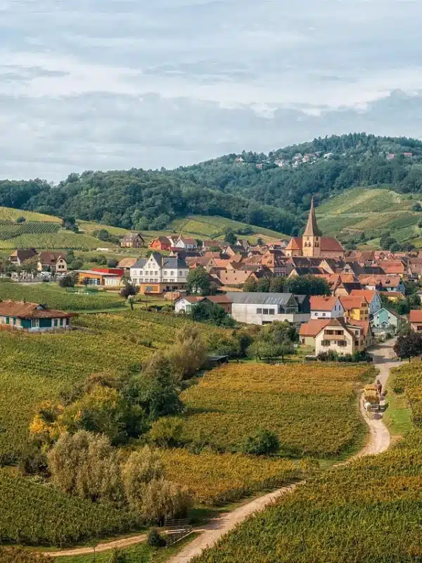 Village alsacien avec clocher entouré de vignobles